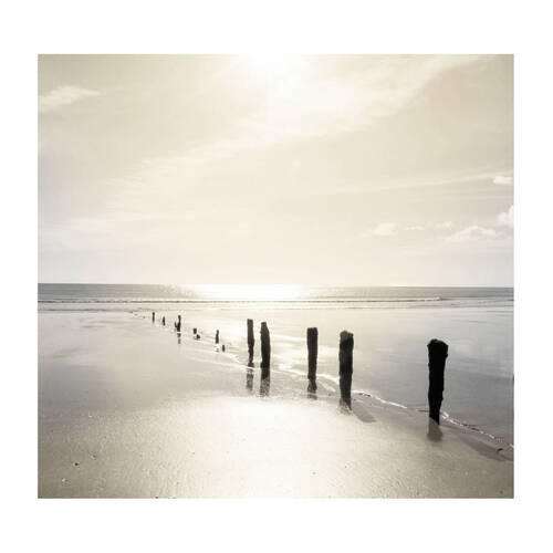 Xora Fototapete Braun, Grau 200x280 cm