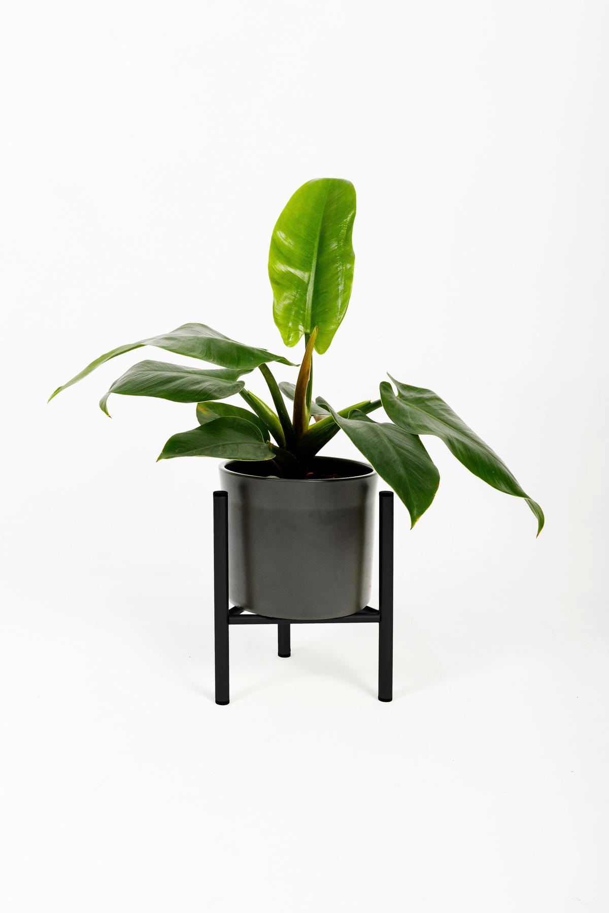 BLUMENSTÄNDER Metall  - Schwarz, Basics, Metall (23/25/23cm)