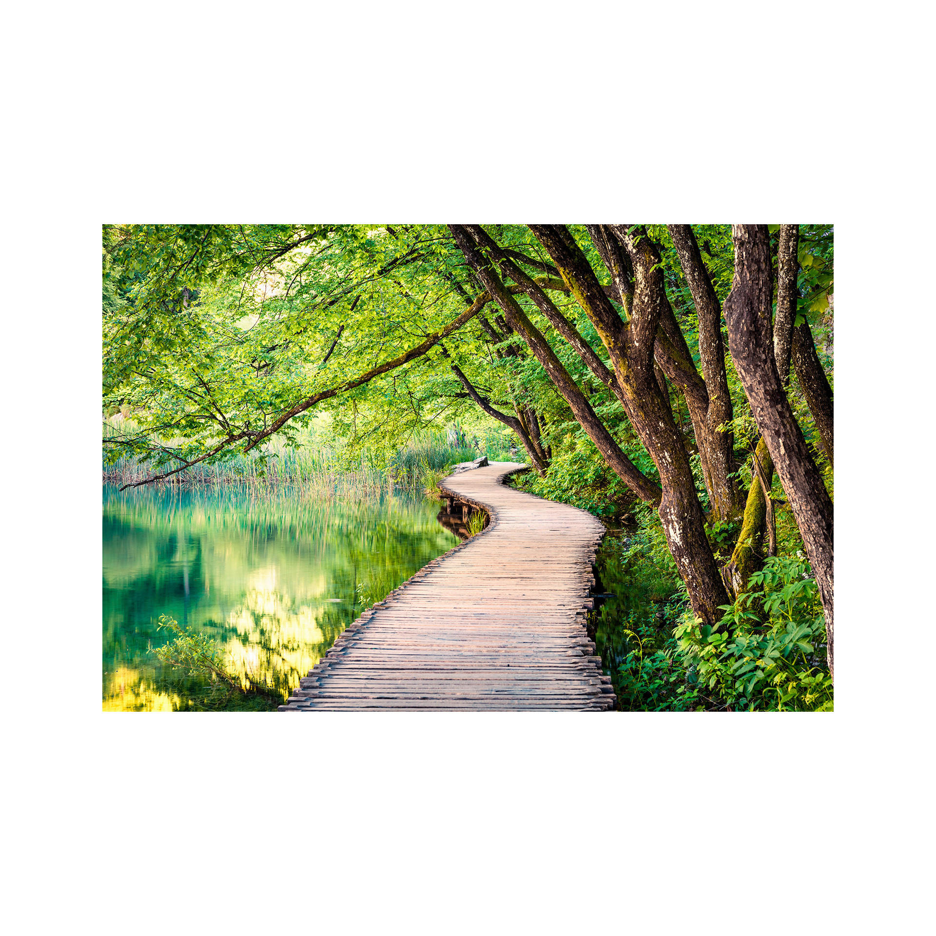 LEINWANDBILD Landschaft & Natur 85/113 cm  - Multicolor/Grün, Basics, Holz/Textil (85/113cm)