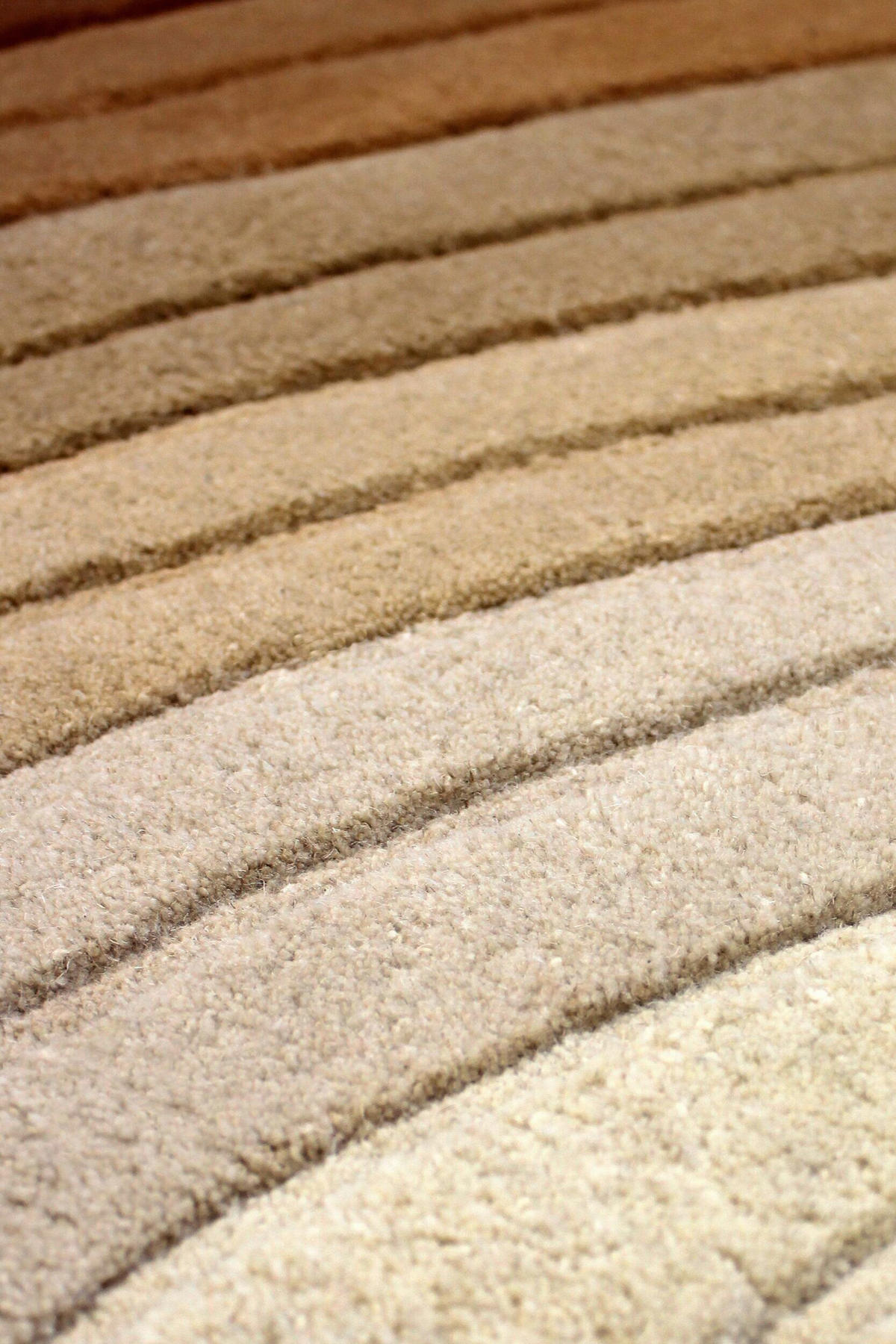 WOLLTEPPICH 160/230 cm Braun  - Braun, MODERN, Textil (160/230cm) - Xora