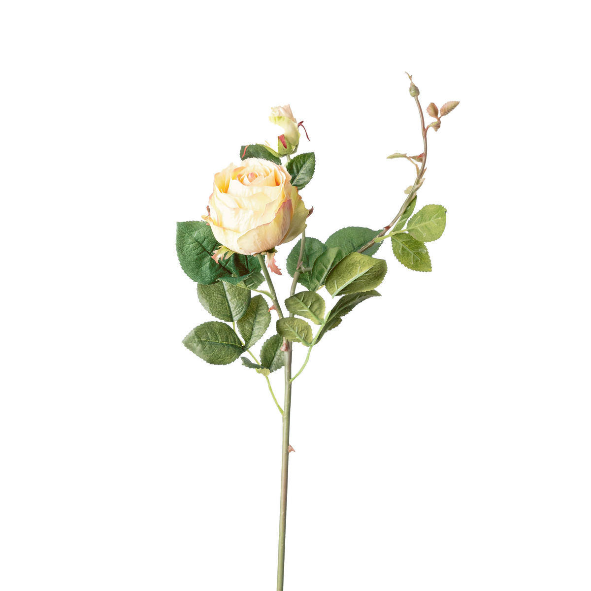 ROSE - Creme/Rosa, Basics, Kunststoff (80cm)