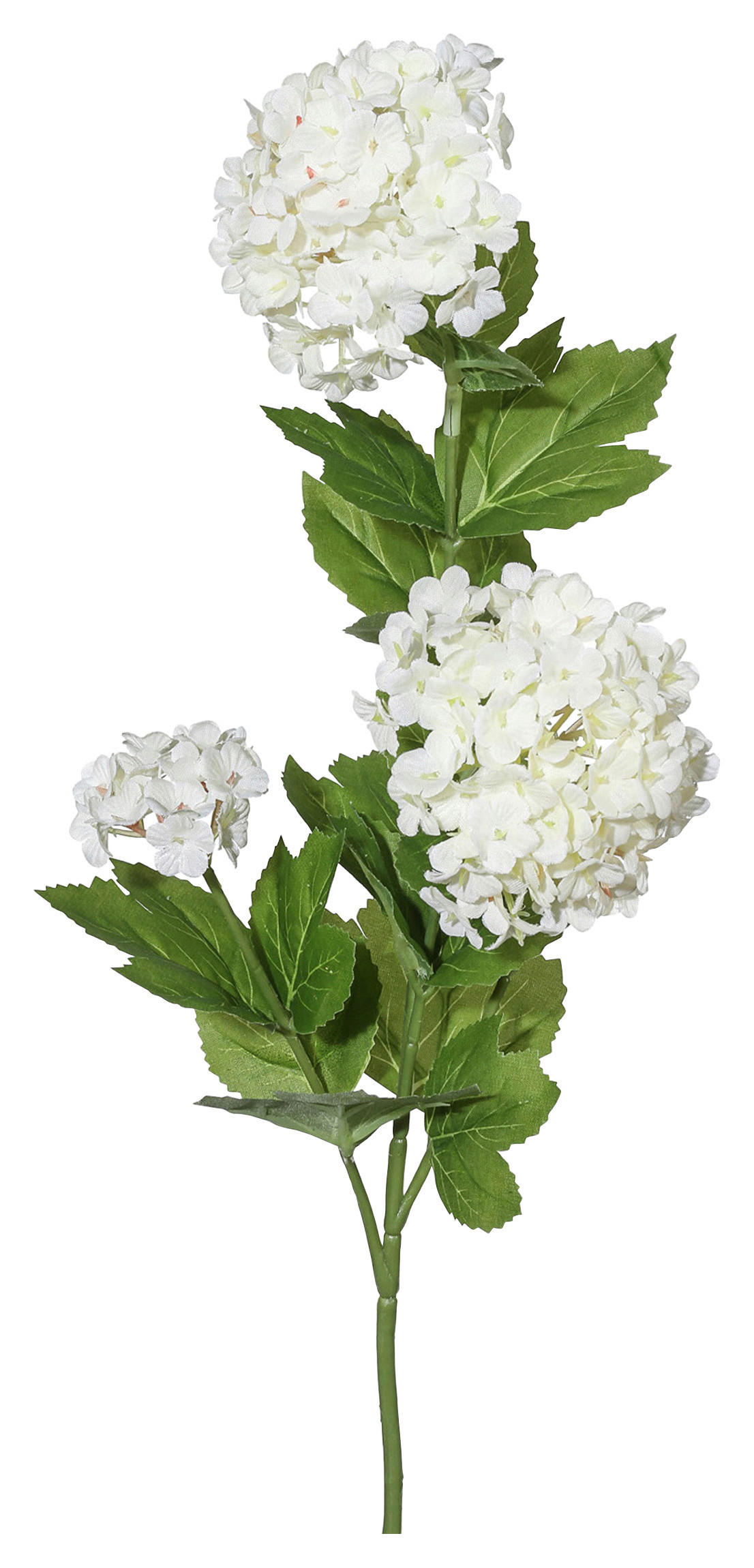 Kunstpflanze Schneeballzweig Creme/grün L:. 61cm, Elia