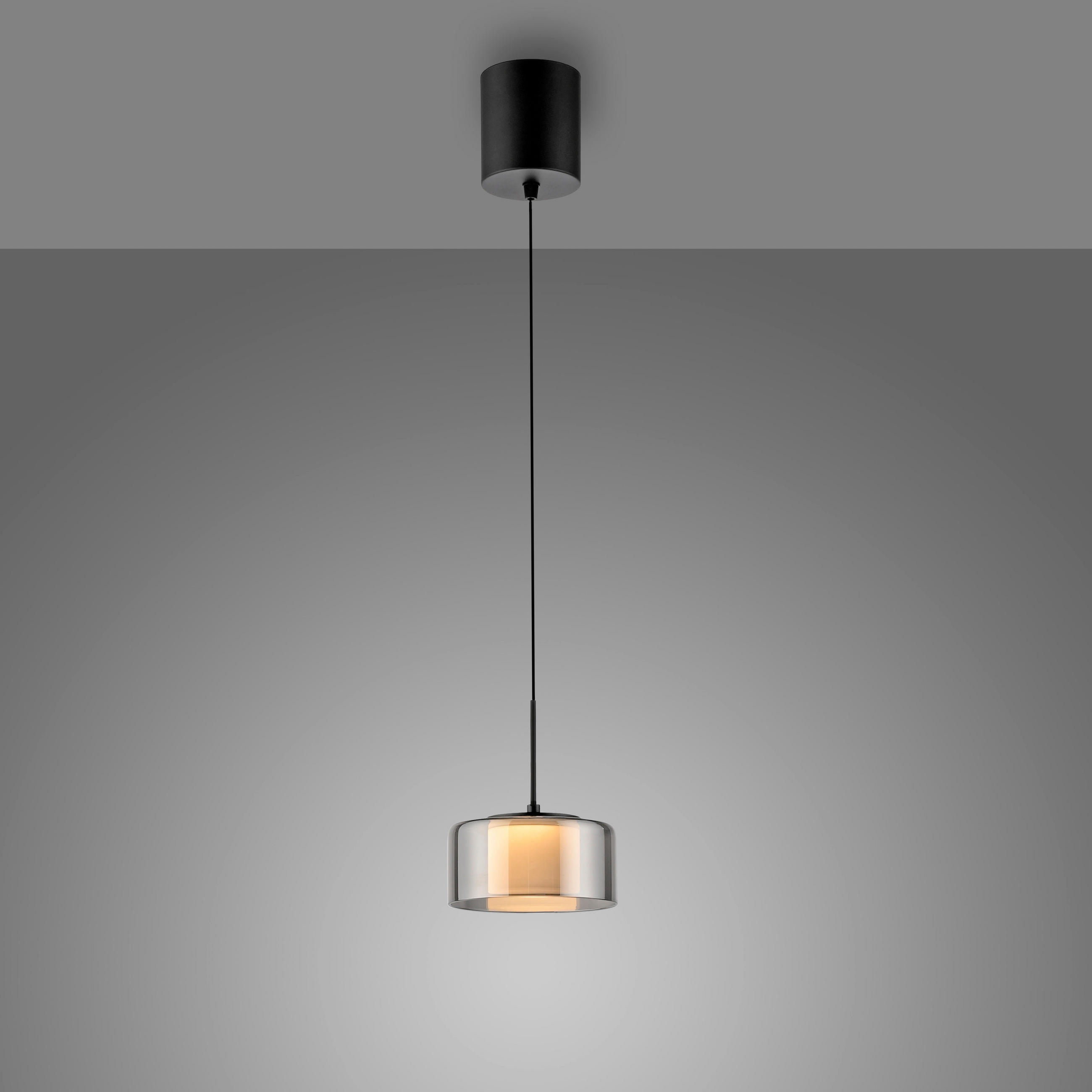 LED-HÄNGELEUCHTE 15/220 cm   - Schwarz, Design, Glas/Kunststoff (15/220cm) - Paul Neuhaus