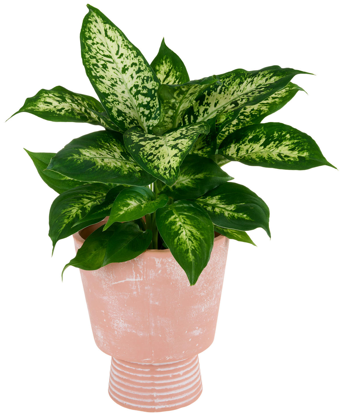 ÜBERTOPF 17/19,5 cm  - Terracotta, LIFESTYLE, Keramik (17/19,5cm) - Ambia Home