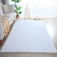 HOCHFLORTEPPICH 80/150 cm Ambiance Weiß  - Weiß, Basics, Textil (80/150cm) - Novel