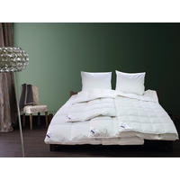 VANKÚŠ POD HLAVU, 80/80 cm - Basics, textil (80/80cm) - Billerbeck