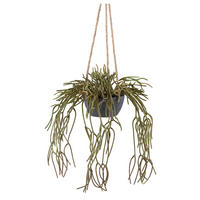 KUNSTPFLANZE 40 cm  - Grau/Grün, Design, Kunststoff (40cm) - P & B