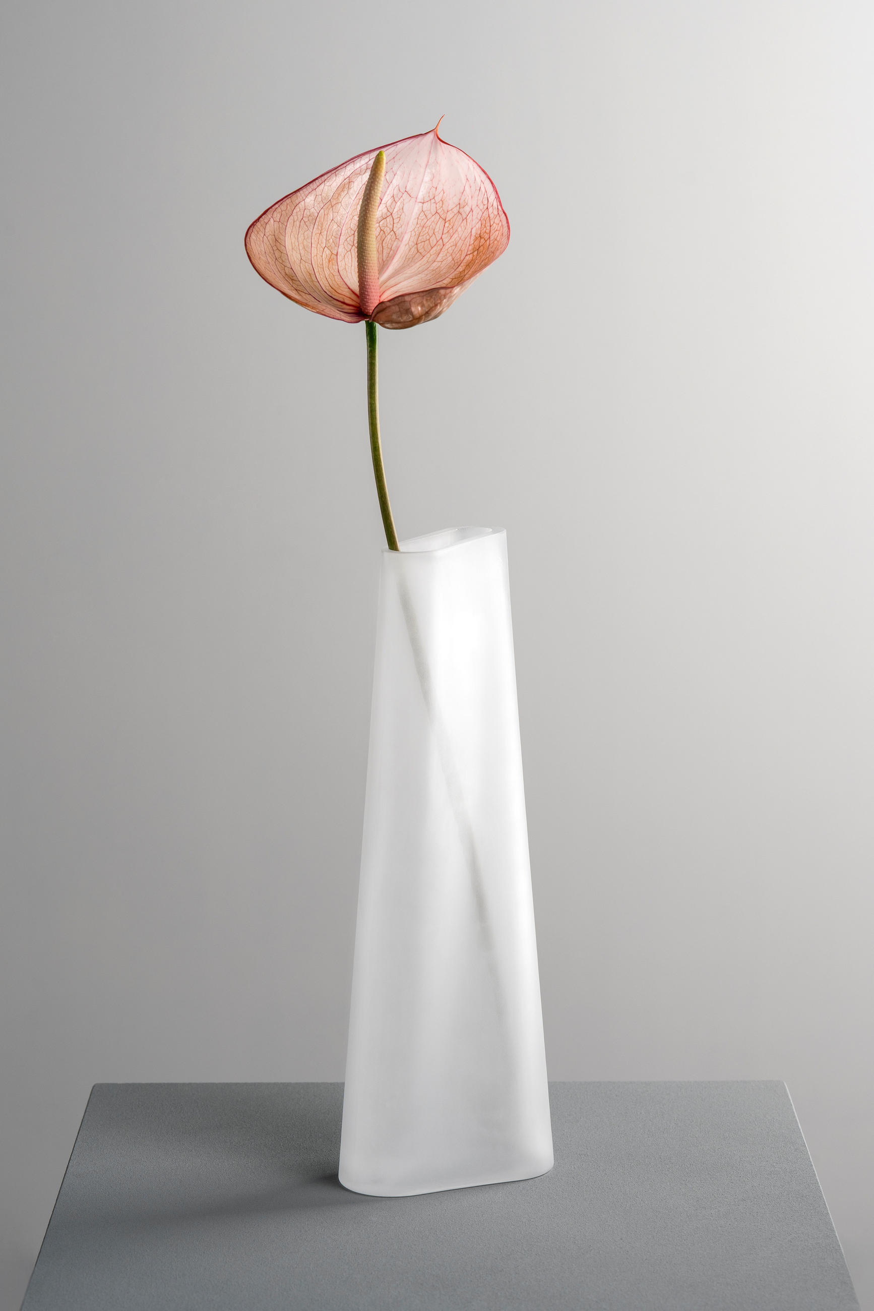 VASE TURNO  - Weiß, Basics, Glas (14,5/42/11,5cm) - Leonardo
