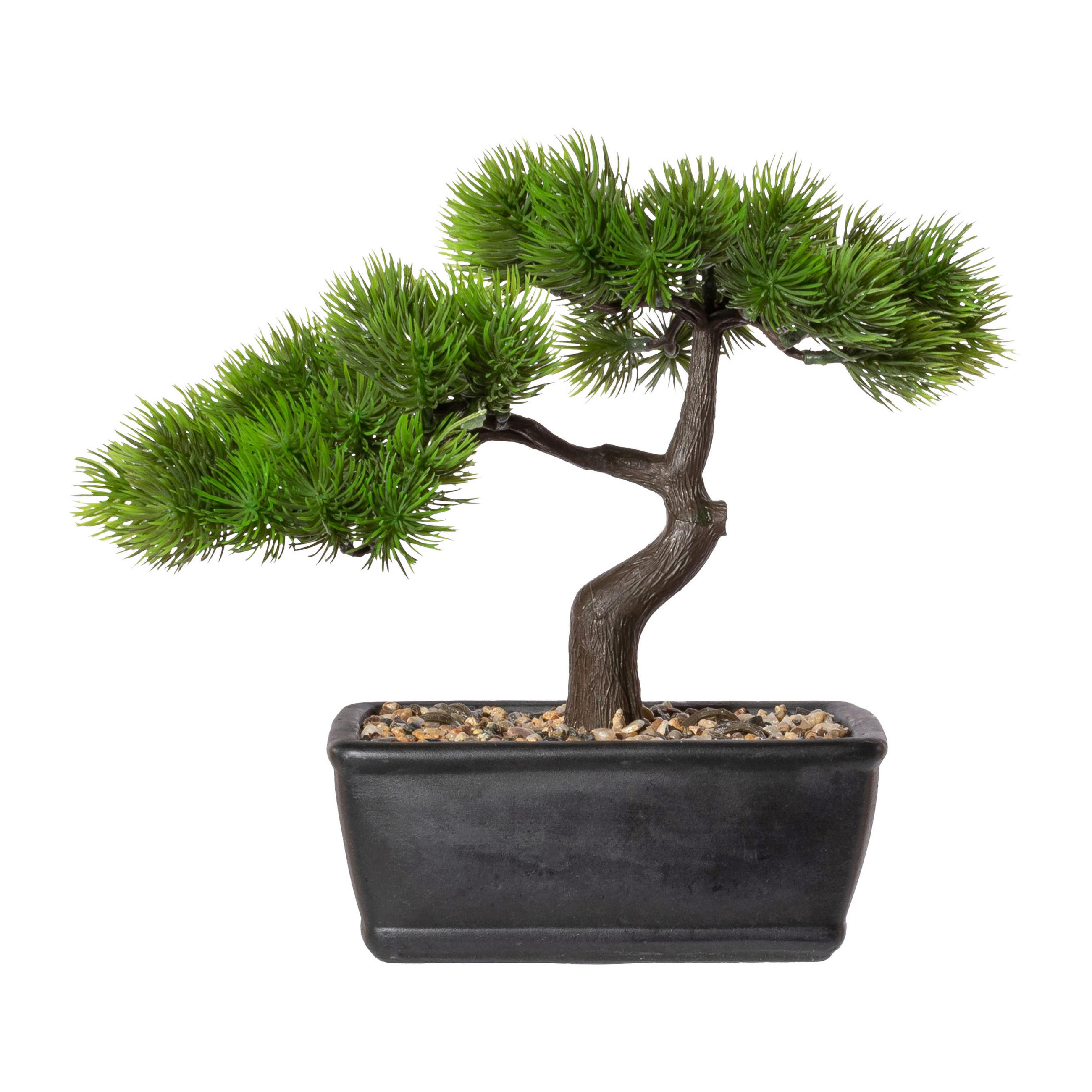 KUNSTPFLANZE Bonsai 23 cm  - Schwarz/Braun, Design, Keramik/Kunststoff (23cm) - P & B