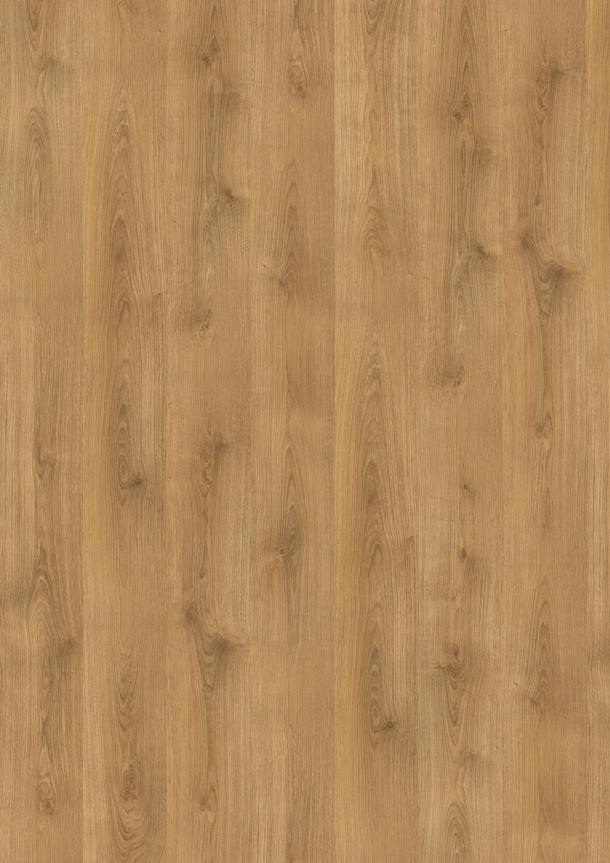 LAMINATBODEN Nord Eiche natur  per  m² - Eichefarben, KONVENTIONELL, Holzwerkstoff (129.2/19.3/0.7cm) - Venda