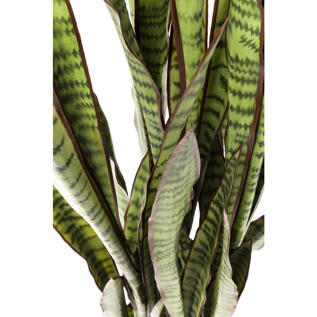Thumbnail - Kare-Design Dekopflanze, Schwarz, Dunkelgrün, Kunststoff, Pflanze, 35x155x35 cm, handgemacht, Dekoration, Blumen & Zubeh...