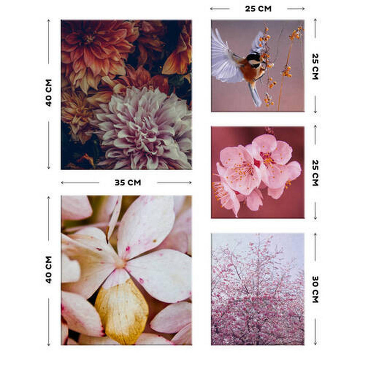 LEINWANDBILD Blumen, Blätter 80/60/3 cm  - Pink, Basics, Wellpappe/Textil (80/60/3cm)