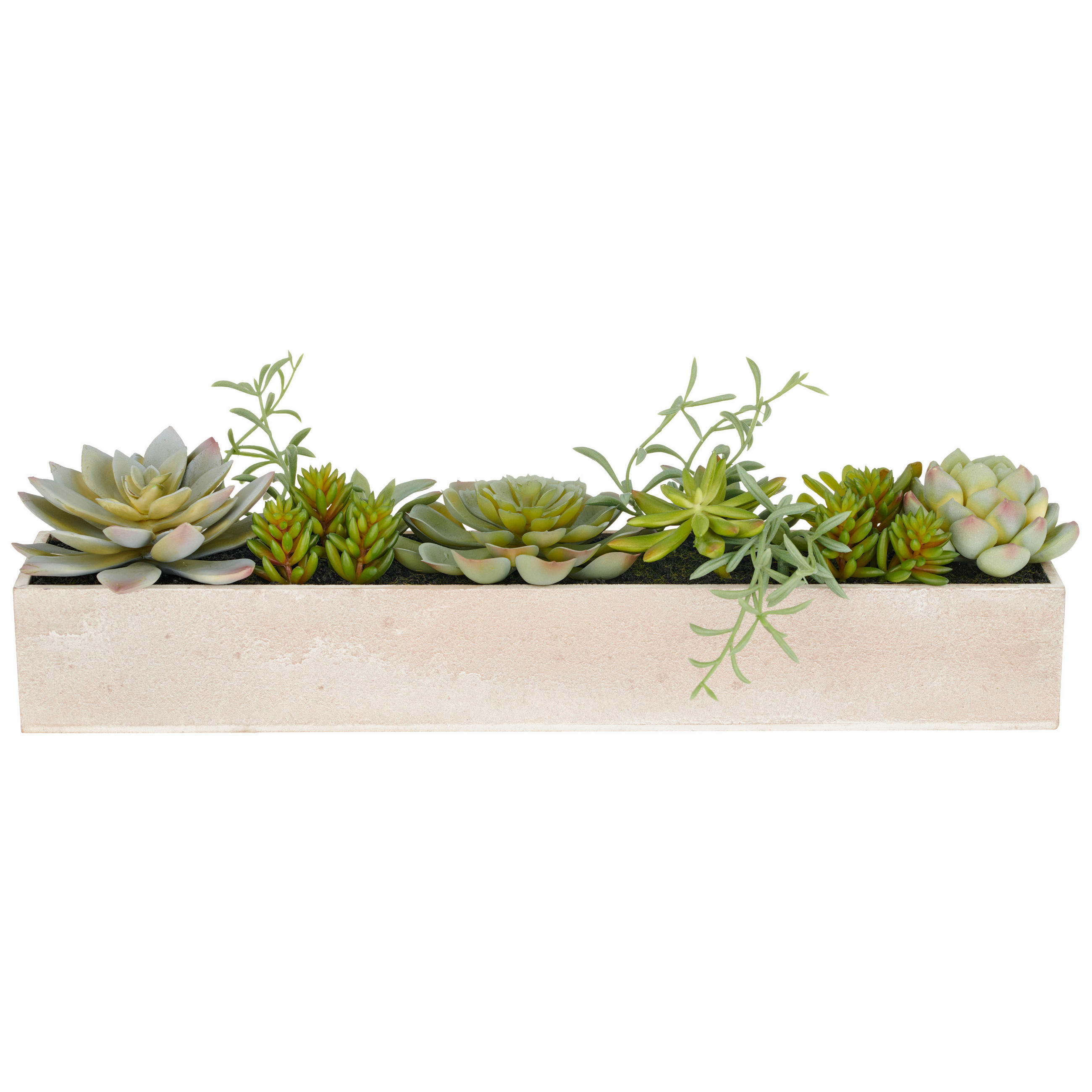 KUNSTPFLANZE Sukkulente  - Grün, Basics, Kunststoff (40/8/6cm)