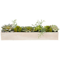 KUNSTPFLANZE Sukkulente  - Grün, Basics, Kunststoff (40/8/6cm)