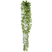 KUNSTPFLANZE Efeu 180 cm  - Grün, Design, Kunststoff (180cm) - P & B