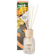 DIFFUSER 100 ml Exotische Früchte  - Naturfarben, Basics (100ml) - Ambia Home