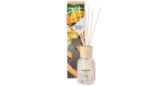 DIFFUSER 100 ml Exotische Früchte  - Naturfarben, Basics (100ml) - Ambia Home