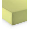 BOXSPRING-FIXLEINTUCH - Hellgrün, Basics, Textil (140-160/200-210cm) - Fleuresse