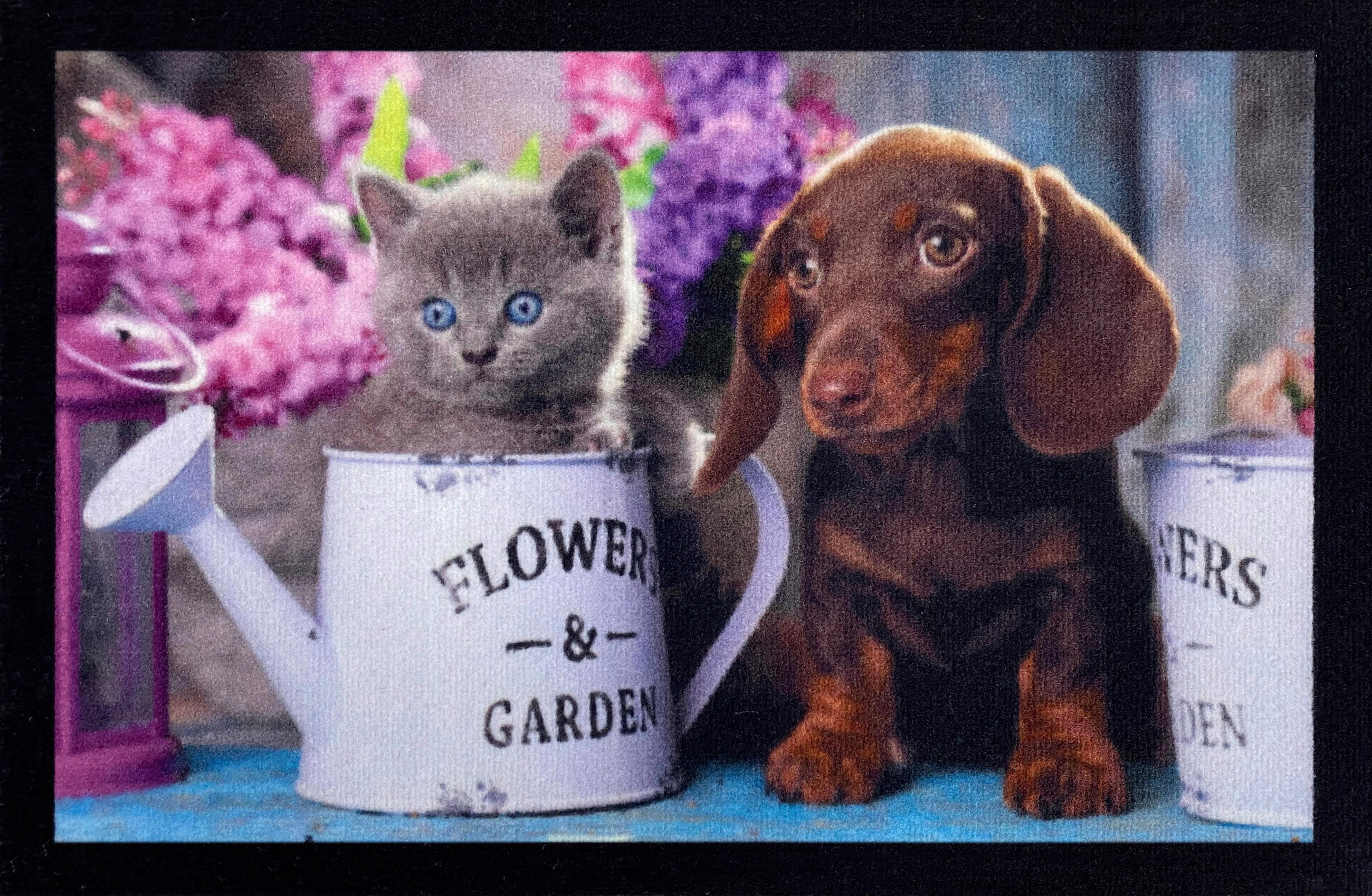 Fußmatte Meli 40x60 Cm Tiermotiv