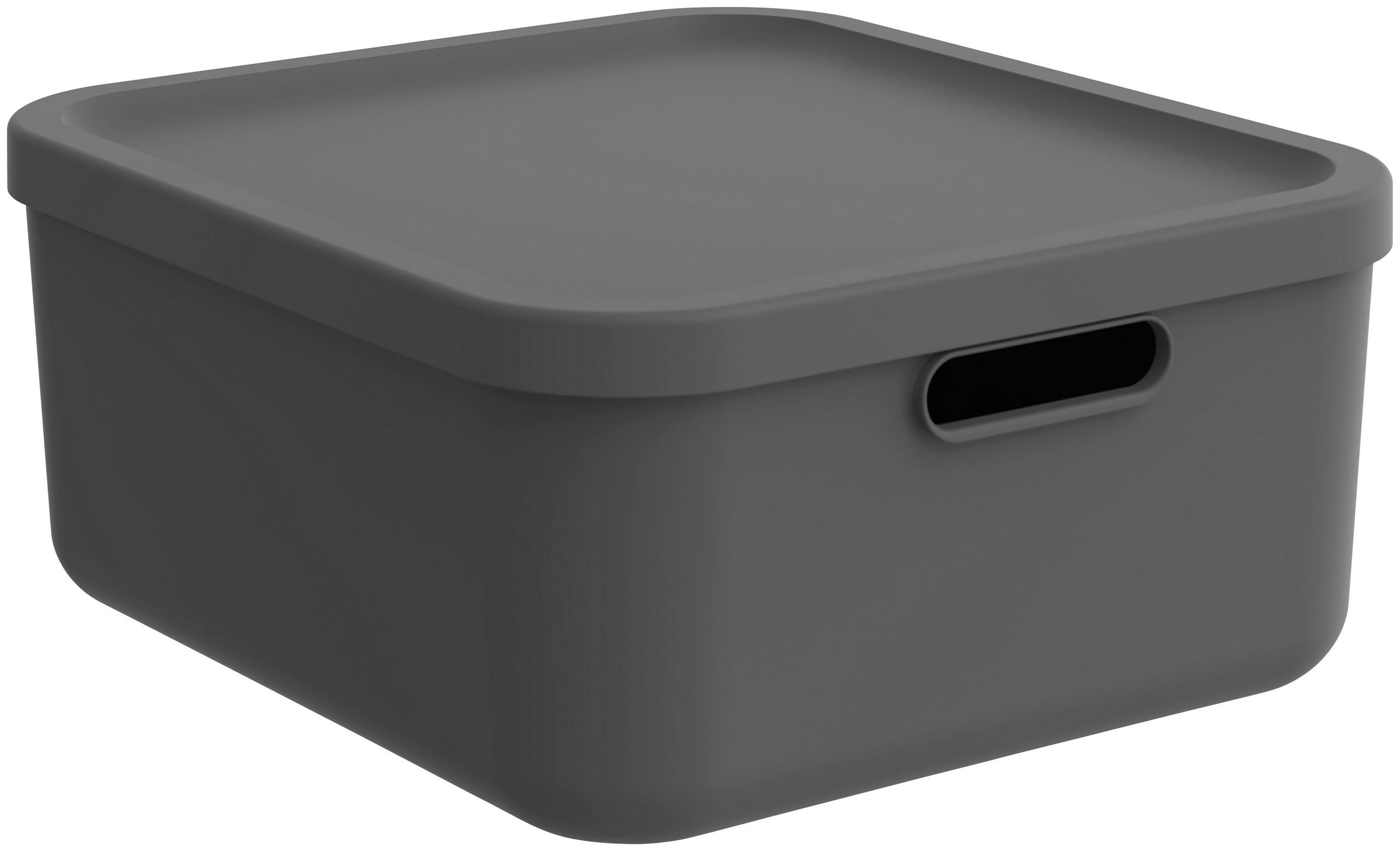 BOX MIT DECKEL    39,5/35,5/17,7 cm  - Anthrazit, Basics, Kunststoff (39,5/35,5/17,7cm) - Rotho