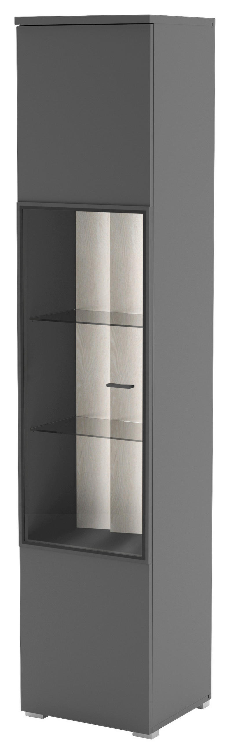 VITRIN szürke  - ezüst/szürke, Design, műanyag/faalapú anyag (42/196/38cm) - Livetastic