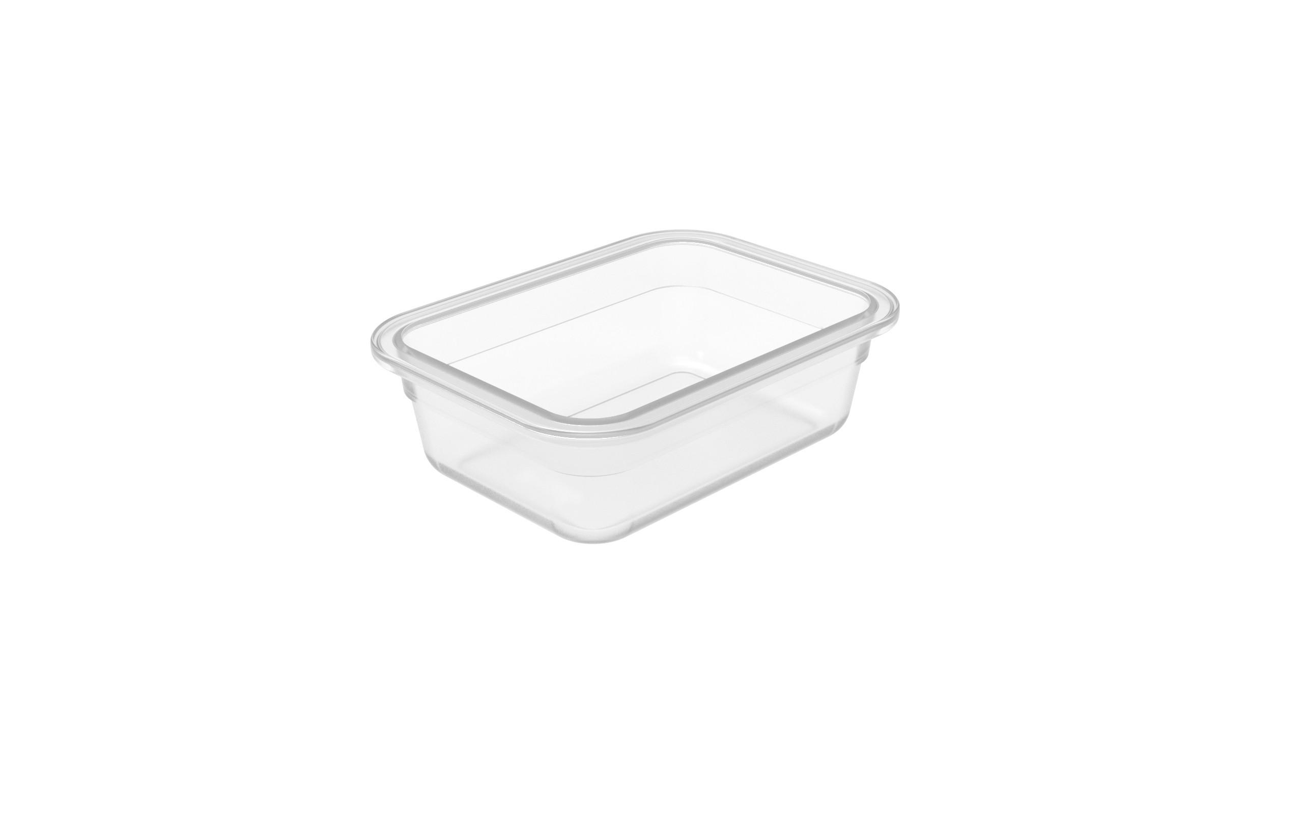 VORRATSDOSE 0,45 l  - Transparent, Basics, Kunststoff (14,7/10,9/4,5cm) - Rotho
