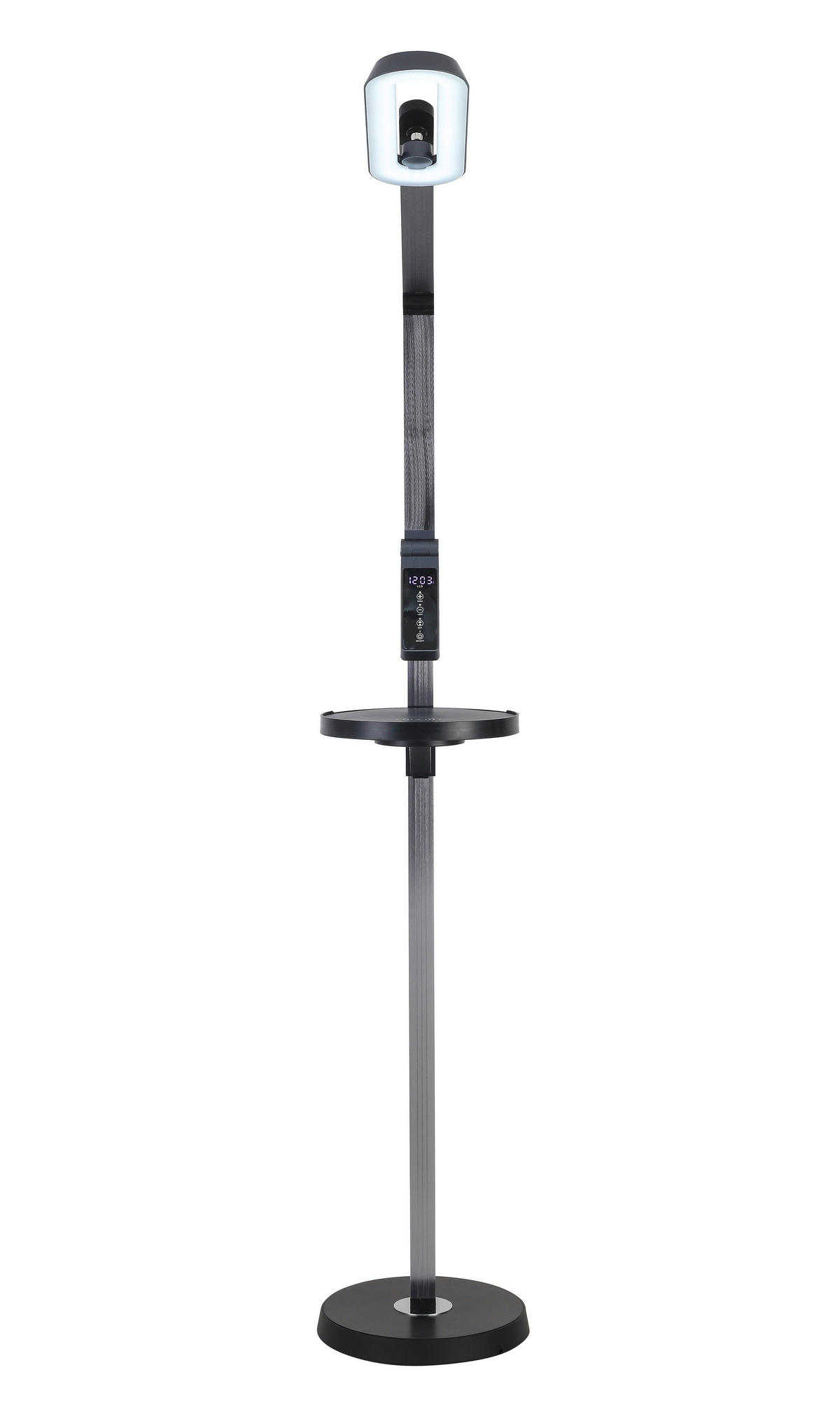 LED-STEHLEUCHTE - Anthrazit/Schwarz, Trend, Kunststoff/Metall (27,2/71/135cm) - Novel