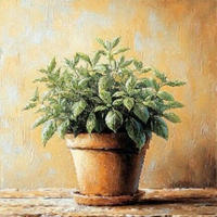 LEINWANDBILD Essen & Trinken, Gewürze 30/30 cm  - Multicolor, Basics, Holz/Papier (30/30cm) - Euroart