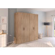 DREHTÜRENSCHRANK 201/223/60 cm 4-türig Sonoma Eiche  - Silberfarben/Sonoma Eiche, Design, Holzwerkstoff/Kunststoff (201/223/60cm) - Novel