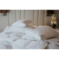 PÁRNA  Sleeptex  - Basics (40/50cm) - Sleeptex