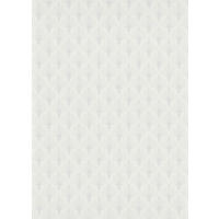 TAPETA   - Basics (53*1000cm)