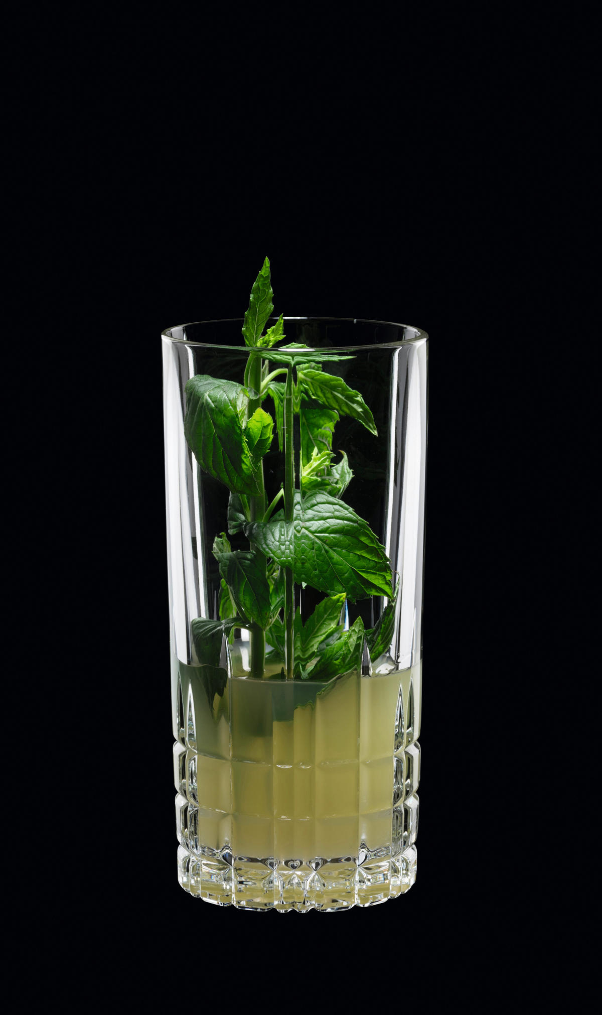 LONGDRINKGLAS Spiegelau 350 ml 3-teilig  - Klar, Basics, Glas (8,6/10,0/8,6cm) - Spiegelau