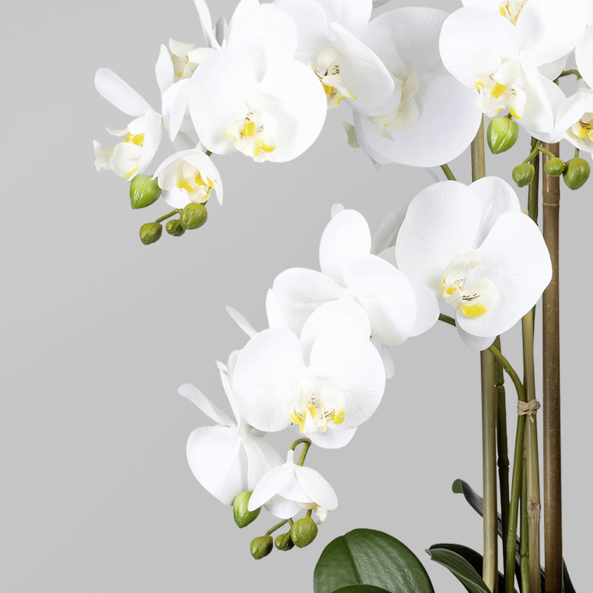 KUNSTBLUME Orchidee  - Weiß/Braun, Trend, Kunststoff (75cm) - P & B