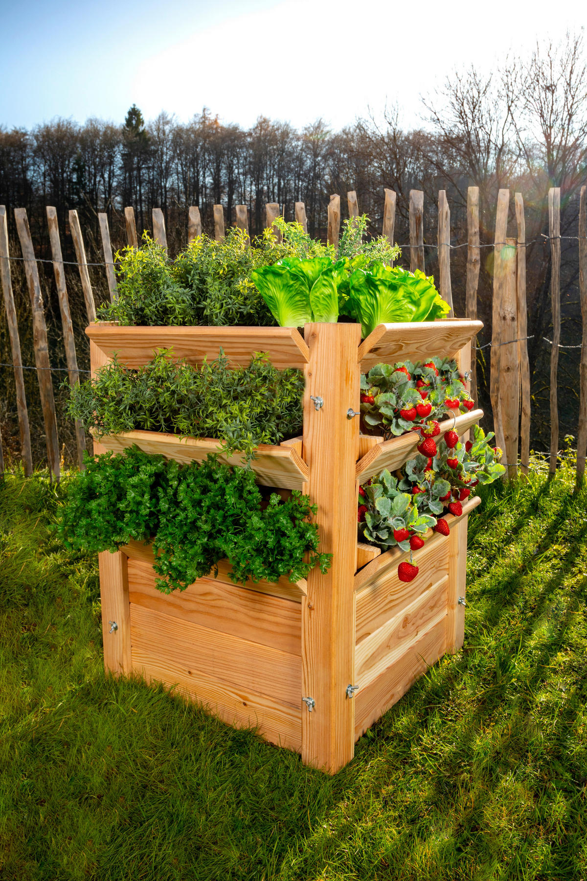 VYVÝŠENÝ ZÁHON   - farba smrekovca, Basics, drevo (65/73/65cm)
