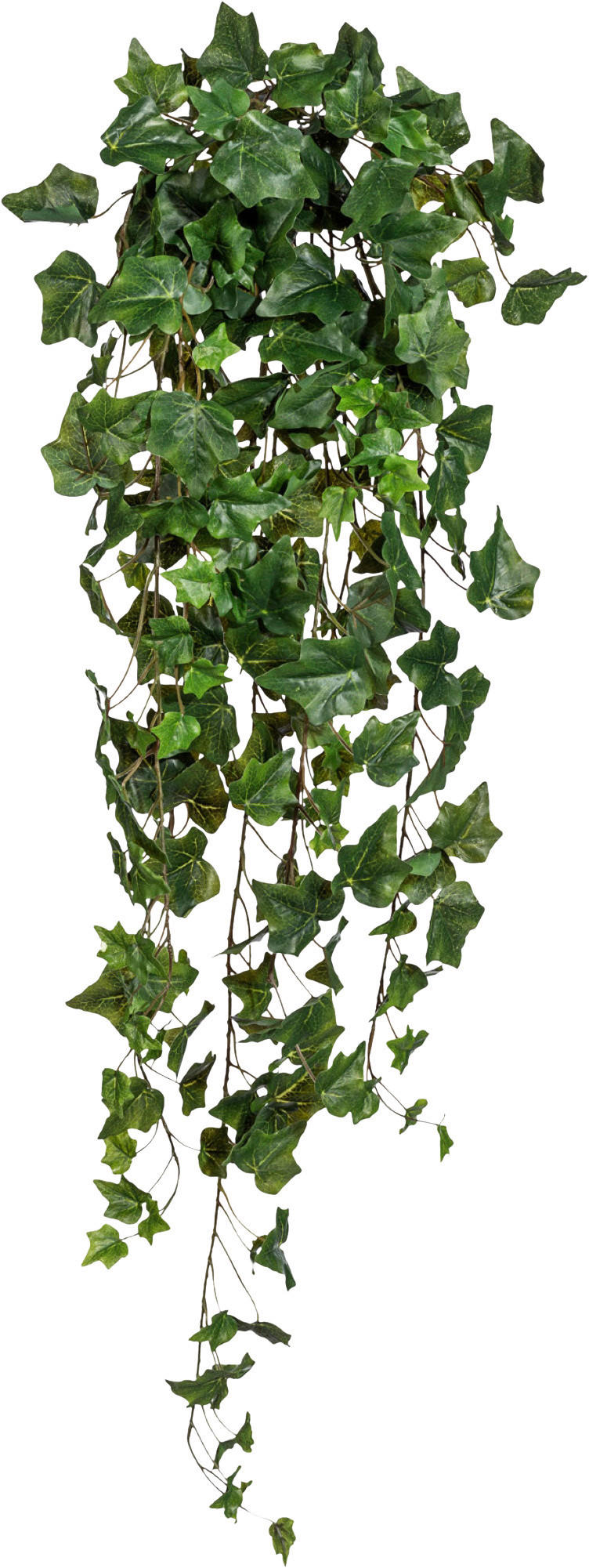 KUNSTPFLANZE Efeu 100 cm - Grün, Design, Kunststoff (100cm) - P & B