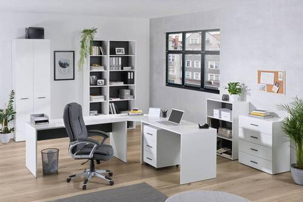 SKRINKA NA DOKUMENTY, antracitová, biela, biela s vysokým leskom, 75/185,6/41,6 cm - biela/biela s vysokým leskom, Basics, kompozitné drevo (75/185,6/41,6cm) - Hom`in