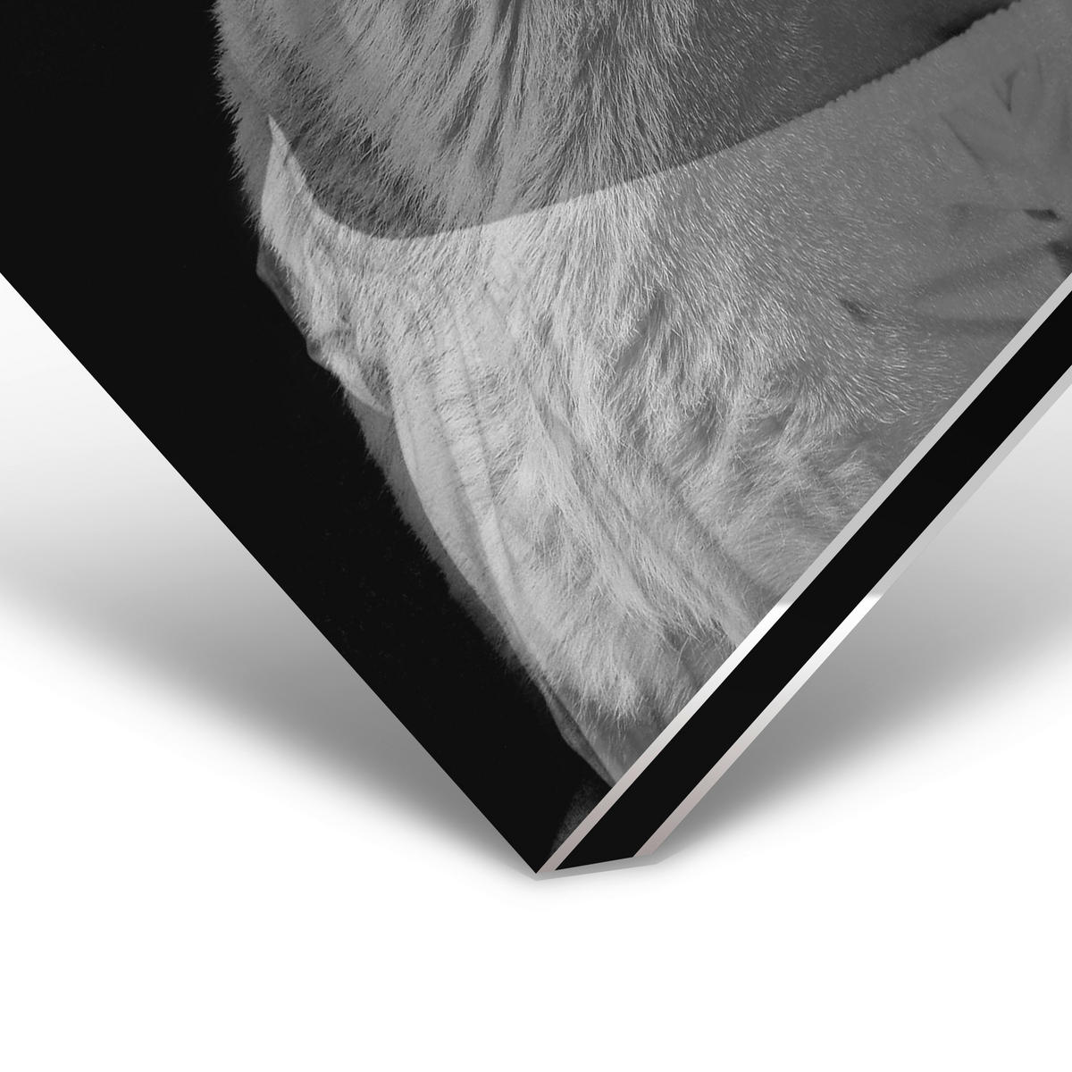 ALUMINIUMBILD 70/118 cm  - Schwarz, Design, Metall (70/118cm)