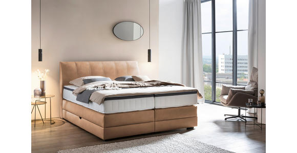 BOXSPRINGBETT 160/200 cm  in Haselnussfarben  - Wengefarben/Haselnussfarben, KONVENTIONELL, Holz/Textil (160/200cm) - Novel