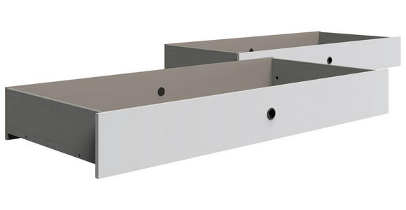 BETTSCHUBKASTEN Weiß  - Weiß, Design, Holzwerkstoff/Kunststoff (100/16/60cm) - Carryhome