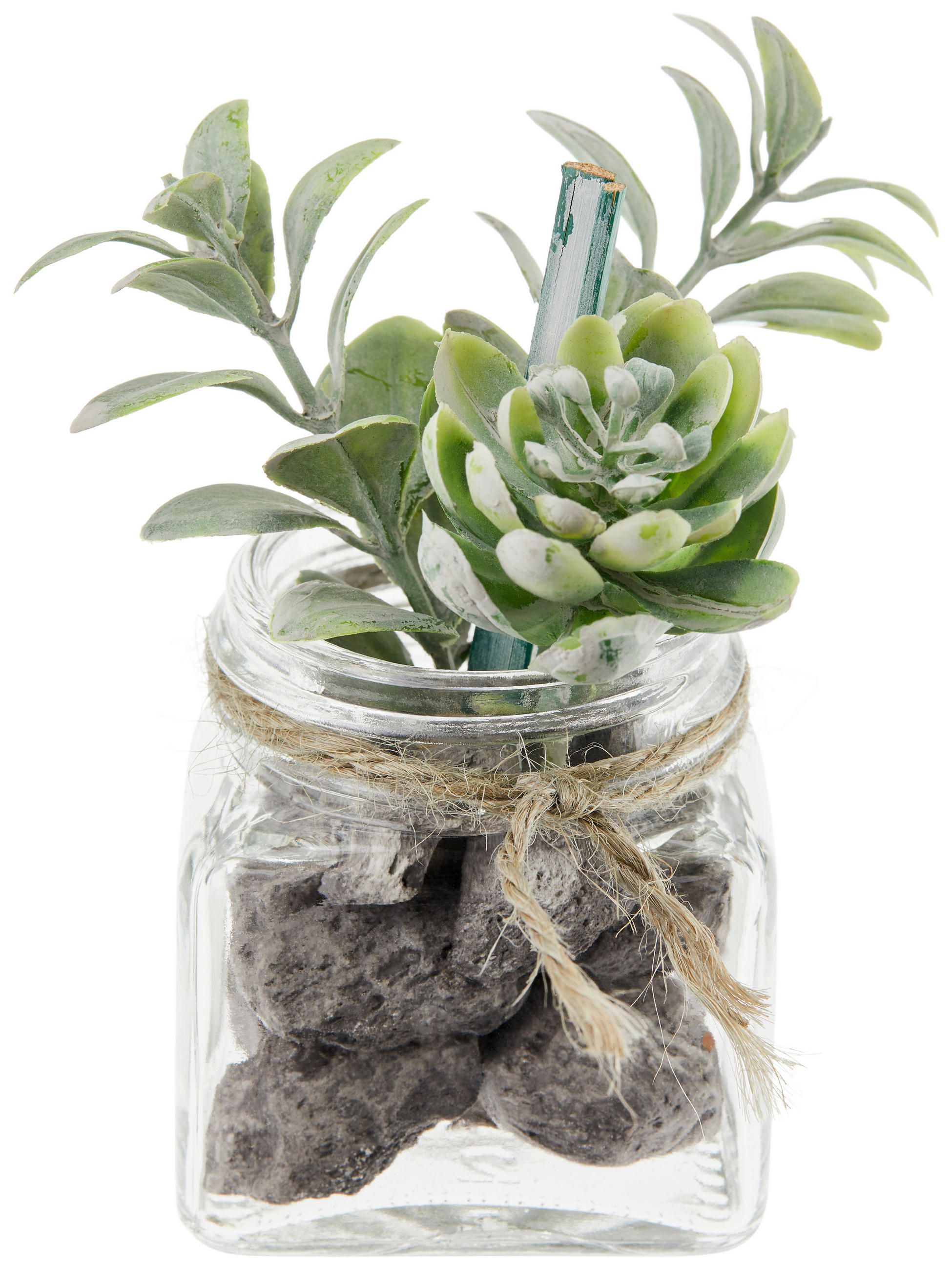 Kunstpflanze Sukkulente Grün L: 9,5 cm, Haviva