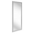 WANDSPIEGEL 70/170/2 cm    in rechteckig  - Silberfarben, LIFESTYLE, Kunststoff (70/170/2cm) - Carryhome