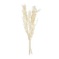 TROCKENBLUME - Naturfarben, Basics (70cm)