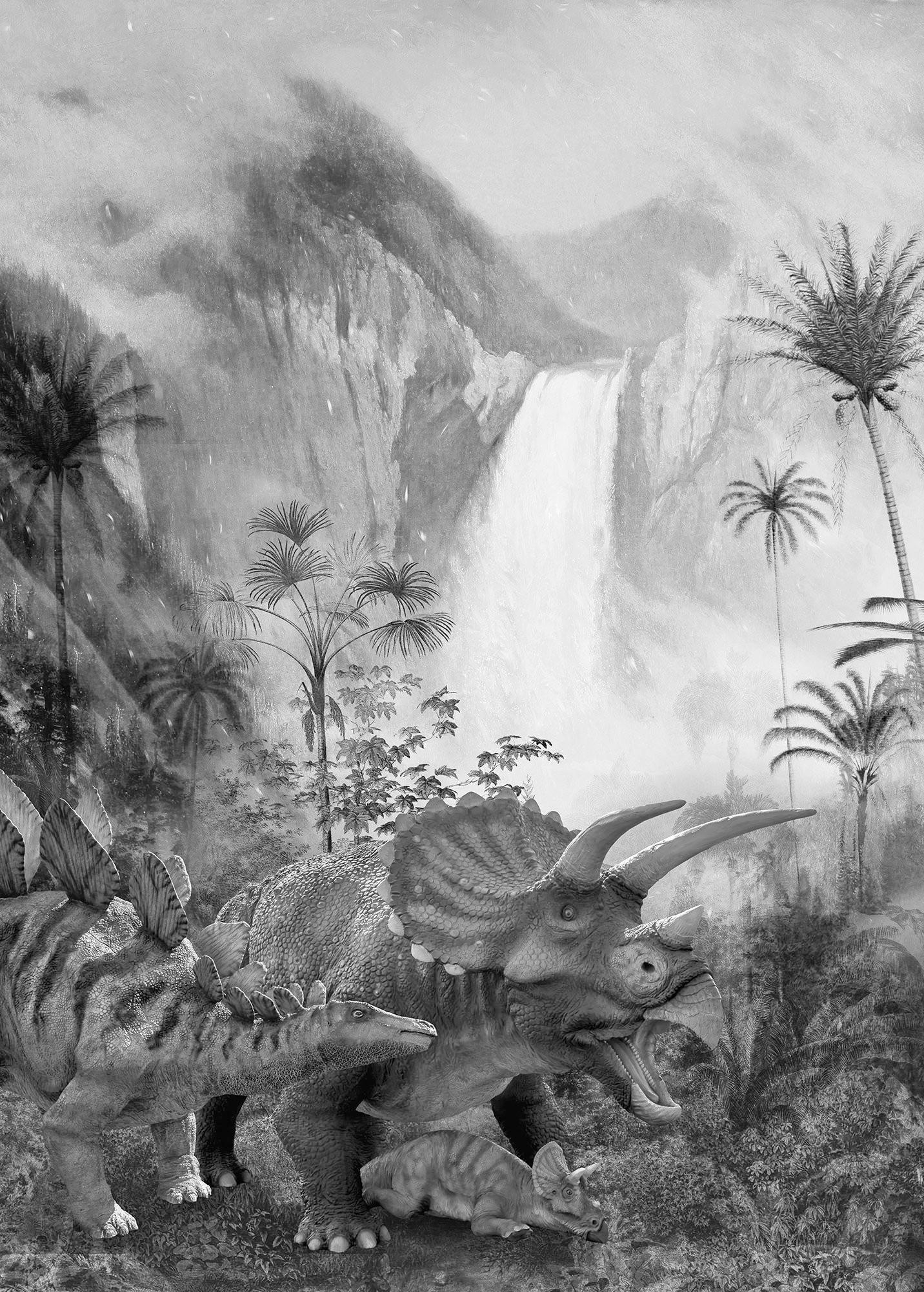 Xora Fototapete Schwarz, Weiß 200x280 cm