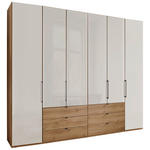 DREHTÜRENSCHRANK  in Champagner, Eiche Bianco  - Schieferfarben/Eiche Bianco, KONVENTIONELL, Glas/Holzwerkstoff (250/216/58cm) - Dieter Knoll