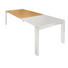 ESSTISCH Eiche furniert rechteckig Weiß, Eichefarben - Eichefarben/Weiß, Design, Holz (200/100/75cm) - Now by Hülsta ESSTISCH Eiche furniert rechteckig Weiß, Eichefarben - Eichefarben/Weiß, Design, Holz (200/100/75cm) - Now by Hülsta