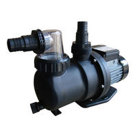 FILTERPUMPE  - Schwarz, KONVENTIONELL, Kunststoff (17,5/40,75/26,5cm) - Gre