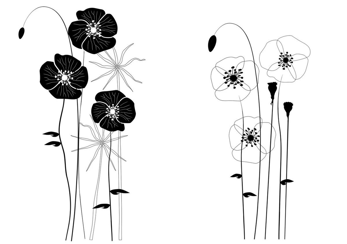 SAMOLEPKA NA ZEĎ - Basics, plast (50/70/0,10cm)