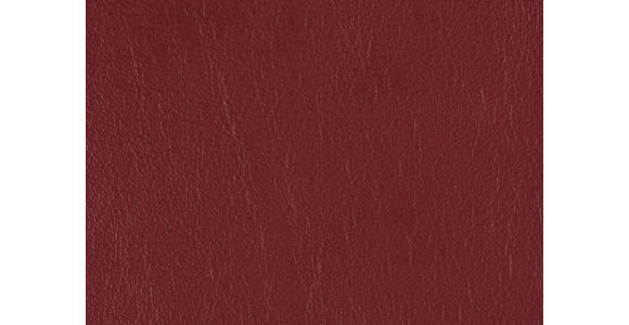 RELAXSESSEL in Leder Rot  - Edelstahlfarben/Rot, Design, Leder/Metall (76/119/86cm) - Dieter Knoll