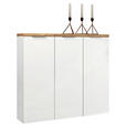 SCHUHSCHRANK in 120/115/34 cm - Eichefarben/Alufarben, Design, Holzwerkstoff/Kunststoff (120/115/34cm) - Xora