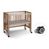 BEISTELLBETT Sophie  - Buchefarben, Basics, Holz/Kunststoff (94/46/42cm) - tiSsi